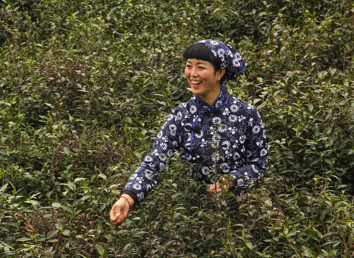 梦连直播热门3